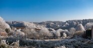 FUJI1113-Bearbeitet-1