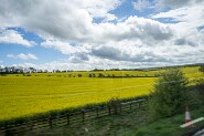 Cornwall-7