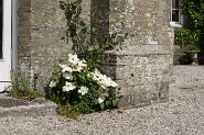 Prideaux-926