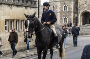 Windsor-257
