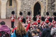Windsor-276