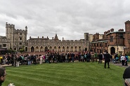 Windsor-278