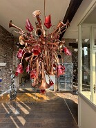 IMG_2464-5