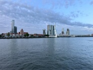IMG_2311-1