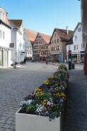 DSCF2035-16