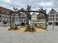 IMG_0631
