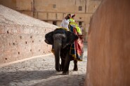 D30_1987-4