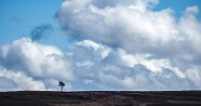 Schottland-9-8 Unterwegs