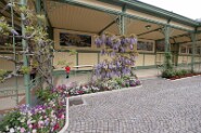 Meran-10-6