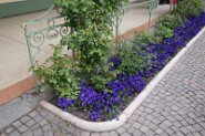 Meran-13-8