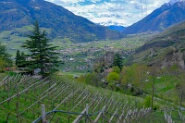 Meran-101-20