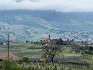 IMG_0054-17